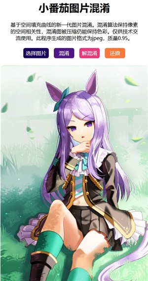 小番茄图片混淆工具