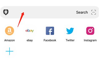 黑狮浏览器游戏图片4