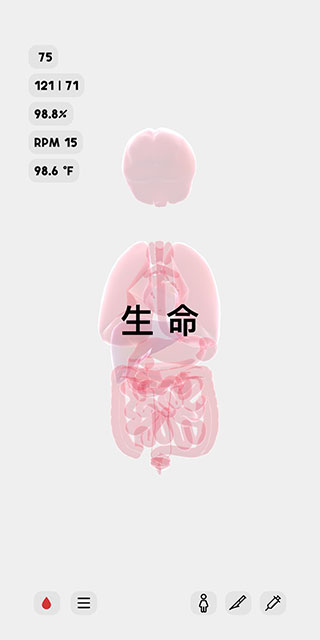 生命life安卓中文版