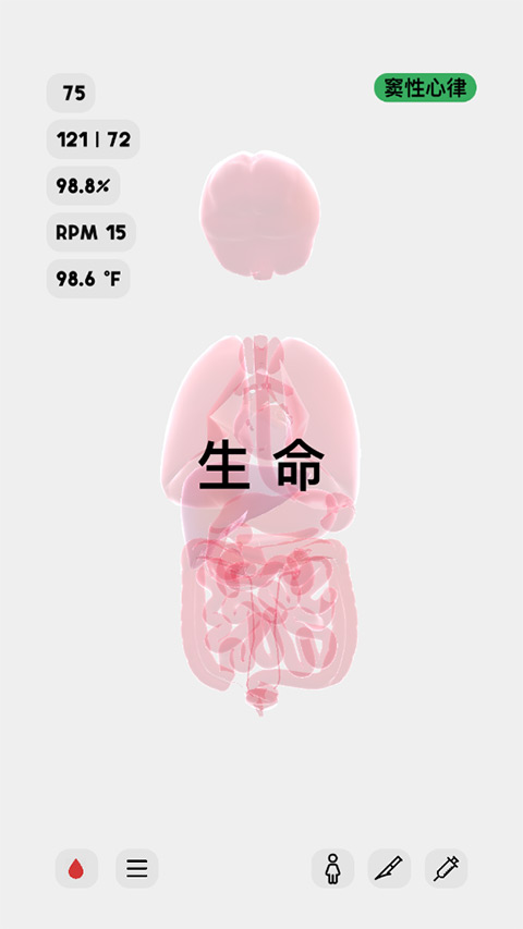 生命人体模拟器最新版