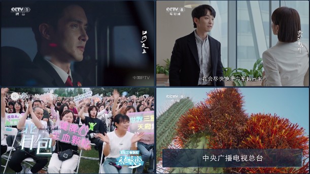 小飞电视tv版安装包下载