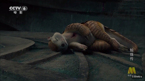 彩虹飞鸟稳定版截图3