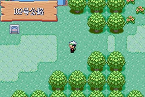 口袋妖怪全神兽版本