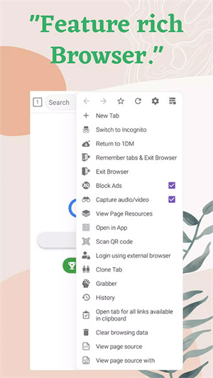 idm下载器汉化版