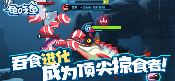 鱼吃鱼下载安装免登录