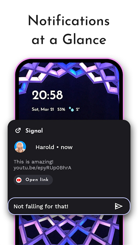 Niagara Launcher Pro