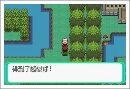 口袋妖怪漆黑的魅影5.0exbw攻略