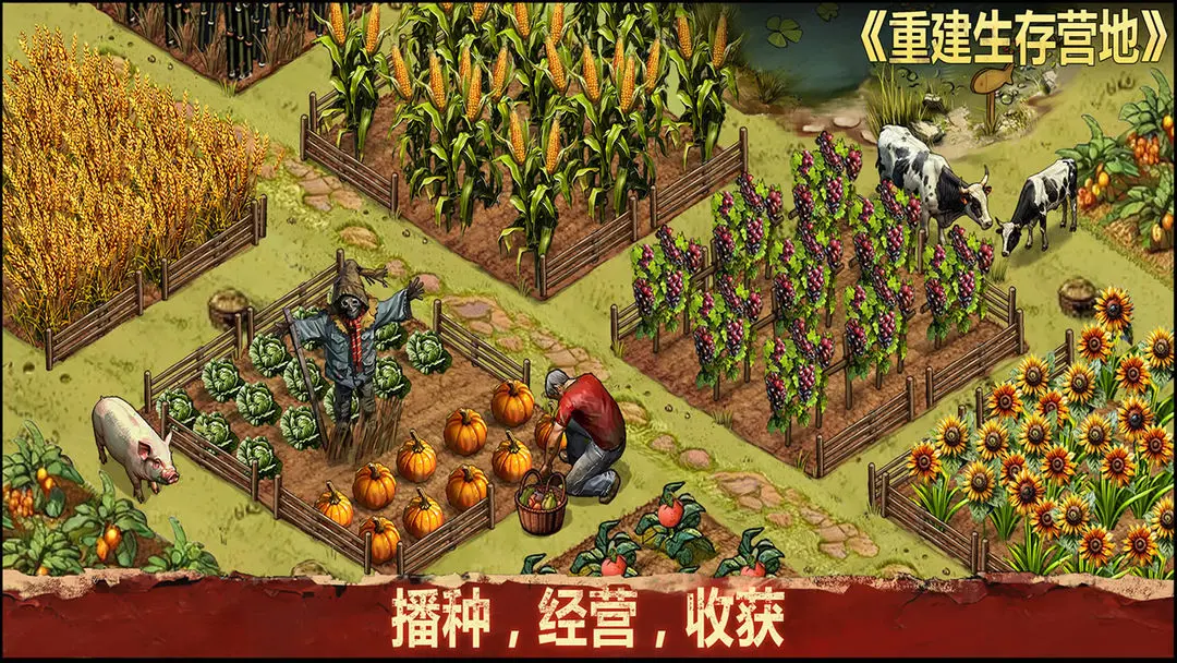 重建生存营地截图4