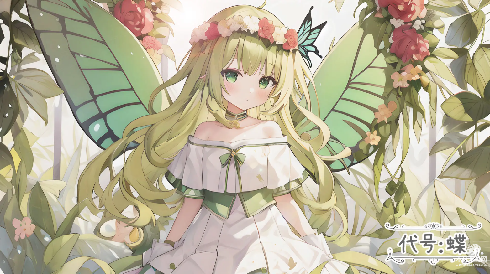 代号蝶
