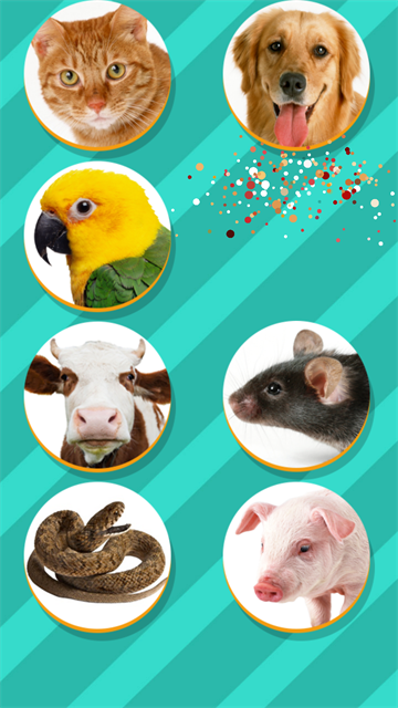 PetTranslator动物语言翻译器截图4