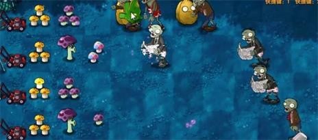 植物大战僵尸融合版2025最新版