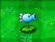 植物大战僵尸植物图鉴配图6