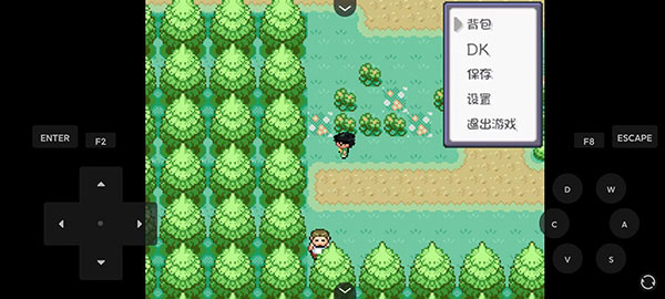 口袋妖怪燃之智虫虫助手