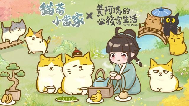 古风茶馆经营《猫茶小当家：掌柜养成记》预约中 预告展开「黄阿玛的后宫生活」限时联动
