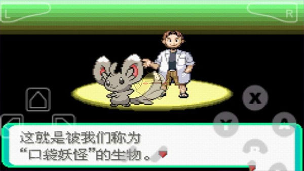 宝可梦漆黑的魅影5.0