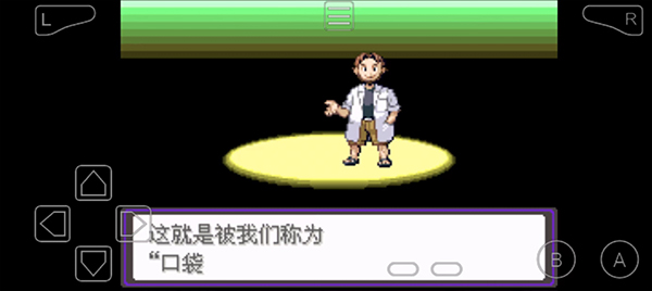 宝可梦漆黑的魅影5.0