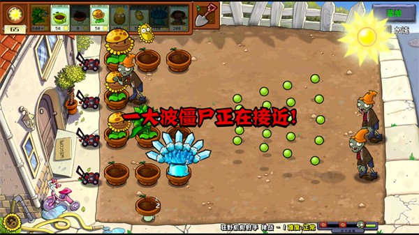 植物大战僵尸杂交重制版最新版