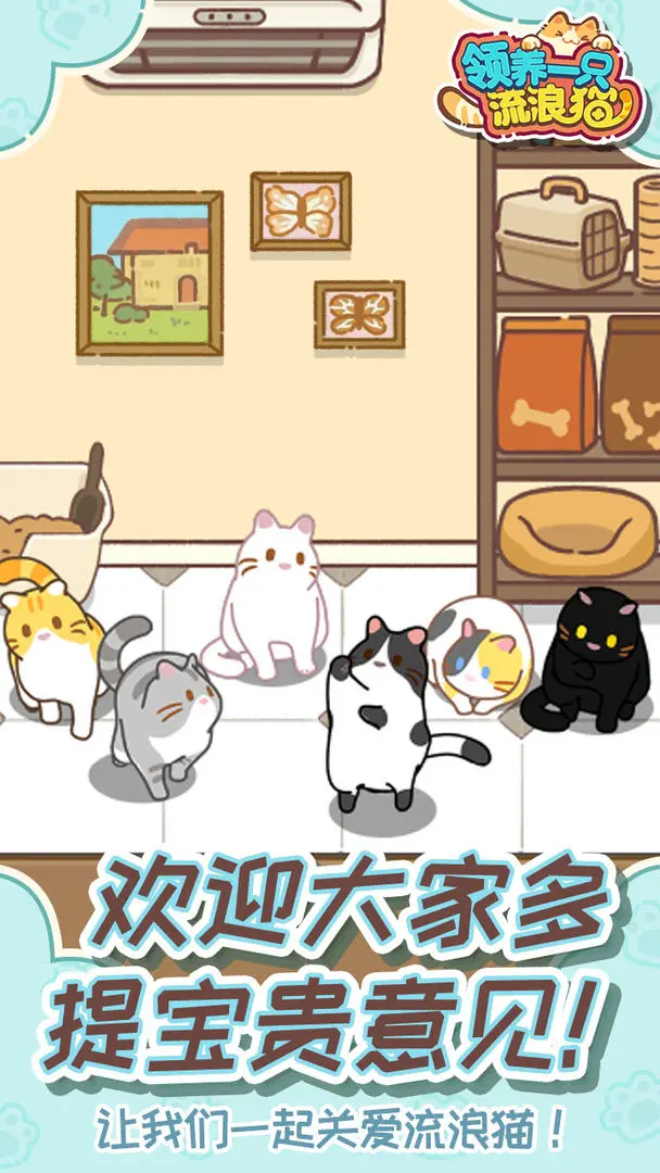 领养一只流浪猫