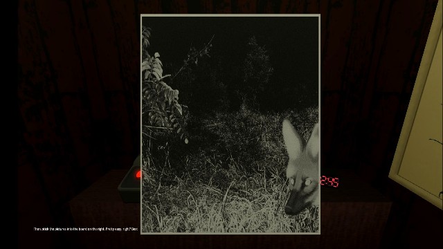 动物观察员游戏官方版