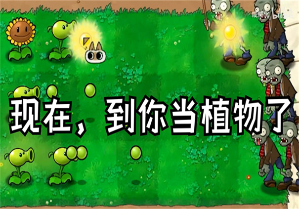 植物大战僵尸繁琐版联机版