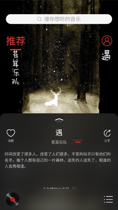 HiFi音乐专业版截图4