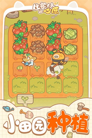 住客大人的心愿免广告版