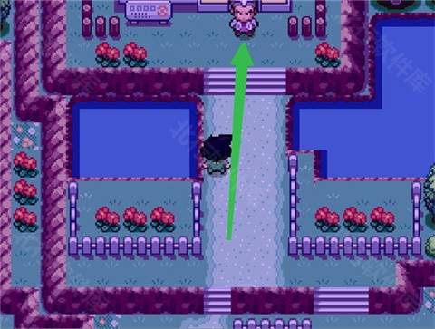 口袋妖怪sa手机版