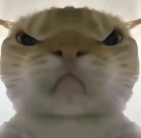 三角洲鼠鼠工具