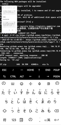 SillyTavern官方版怎么导入角色卡-3