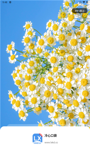 冷心口袋2026最新版