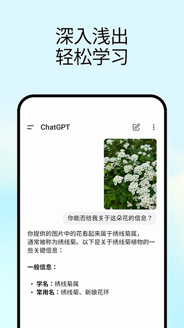 ChatGPT5.4