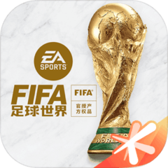 FIFA足球国际测试服